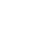 Bar-Ilan logo